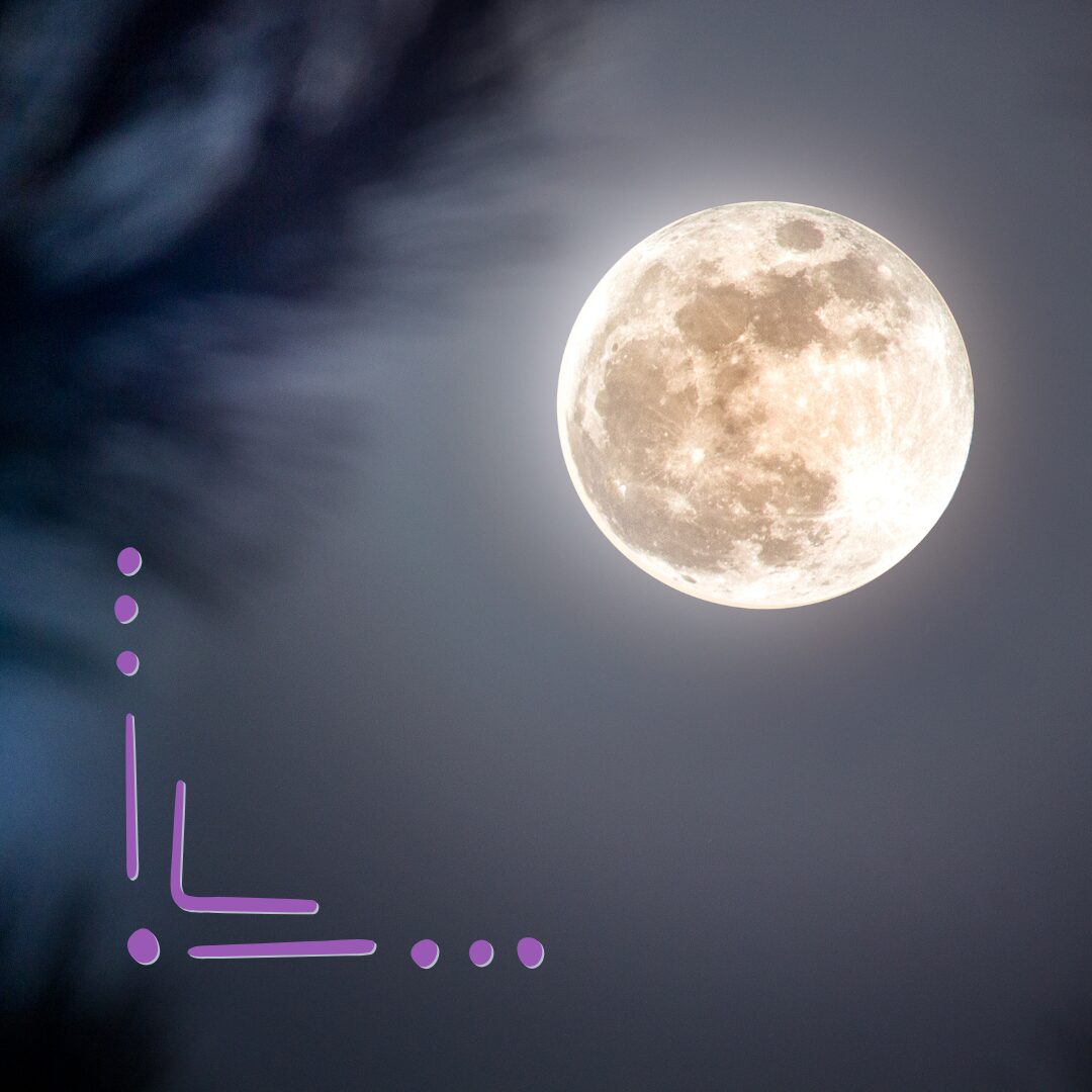 a full moon, with a pine branch in the foreground