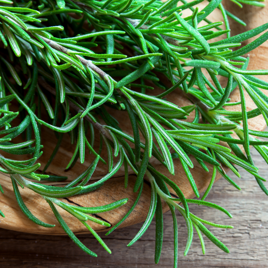 rosemary sprigs on a plate